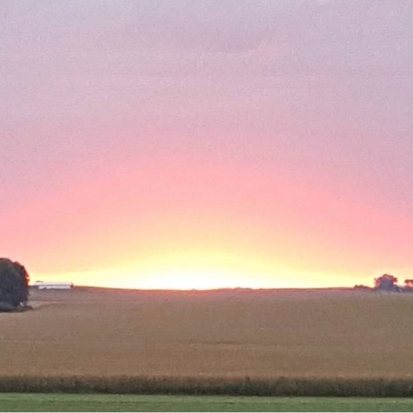 curated_midwest